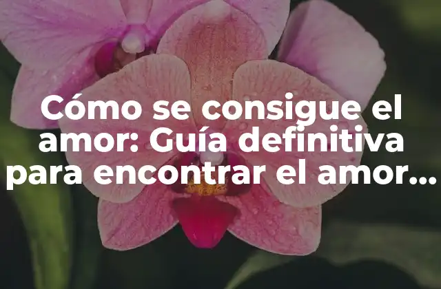 Cómo Se Consigue el Amor: Guía Definitiva para Encontrar el Amor Verdadero