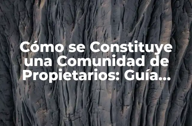 Cómo Se Constituye una Comunidad de Propietarios: Guía Completa