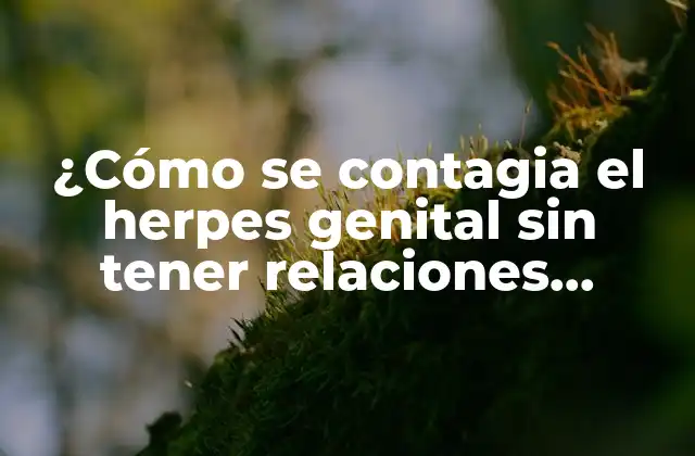 ¿cómo Se Contagia el Herpes Genital sin Tener Relaciones Sexuales?