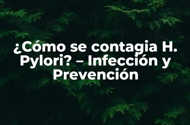 ¿cómo Se Contagia H. Pylori? – Infección y Prevención
