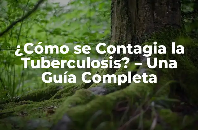¿cómo Se Contagia la Tuberculosis? – una Guía Completa