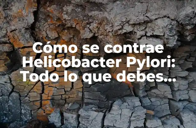 Cómo Se Contrae Helicobacter Pylori: Todo Lo que Debes Saber