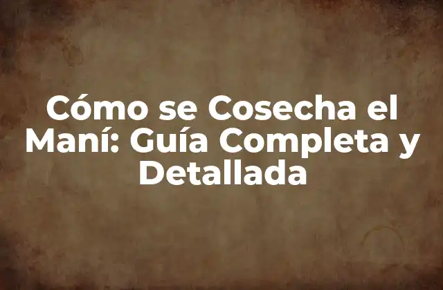 Cómo Se Cosecha el Maní: Guía Completa y Detallada