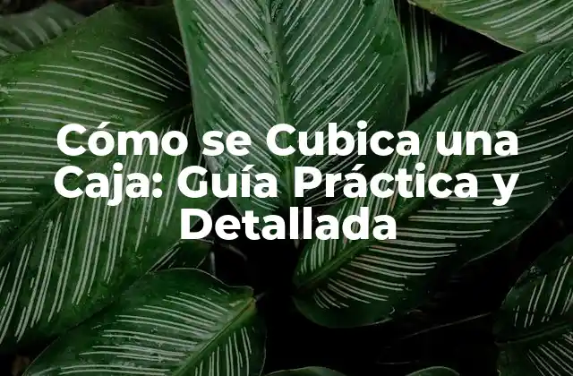 ¿Qué es la Cubicación de Cajas?