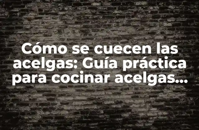 Cómo Se Cuecen las Acelgas: Guía Práctica para Cocinar Acelgas Perfectas