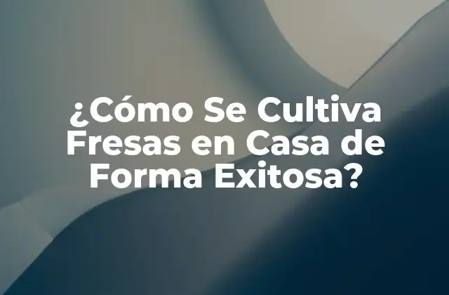 ¿cómo Se Cultiva Fresas en Casa de Forma Exitosa?
