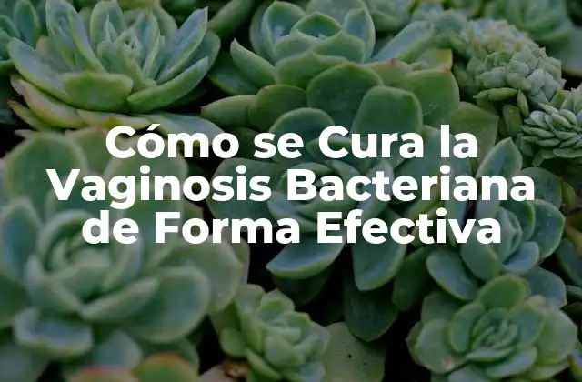 Cómo Se Cura la Vaginosis Bacteriana de Forma Efectiva