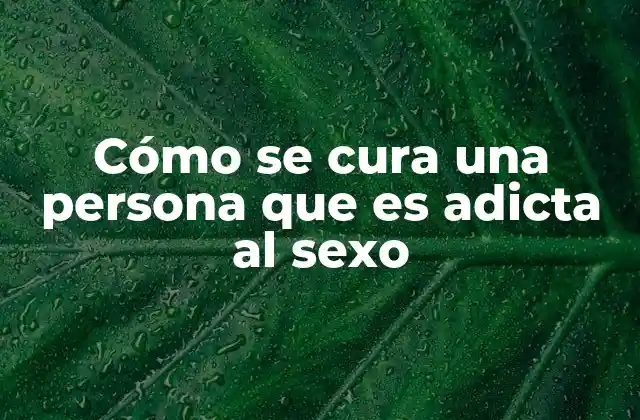 Cómo Se Cura una Persona que es Adicta Al Sexo