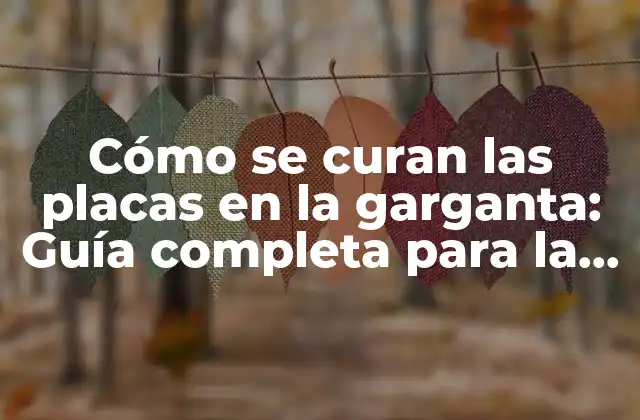 Cómo Se Curan las Placas en la Garganta: Guía Completa para la Remisión de las Placas Amigdalinas