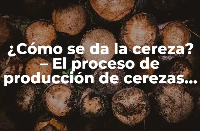 ¿cómo Se Da la Cereza? – el Proceso de Producción de Cerezas desde la Plantación hasta la Mesa
