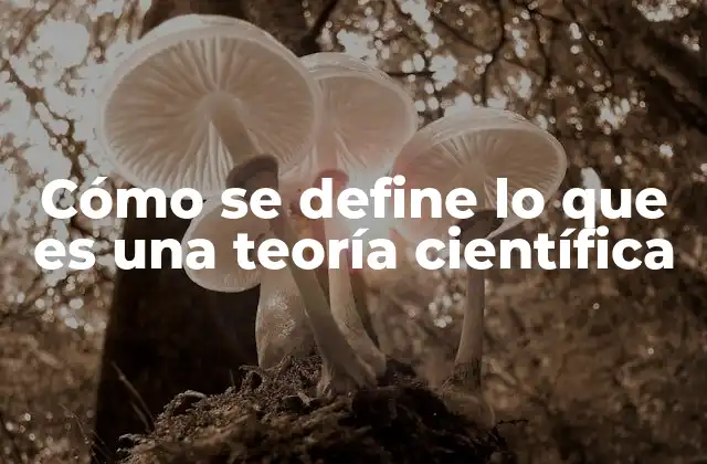 Cómo Se Define Lo que es una Teoría Científica