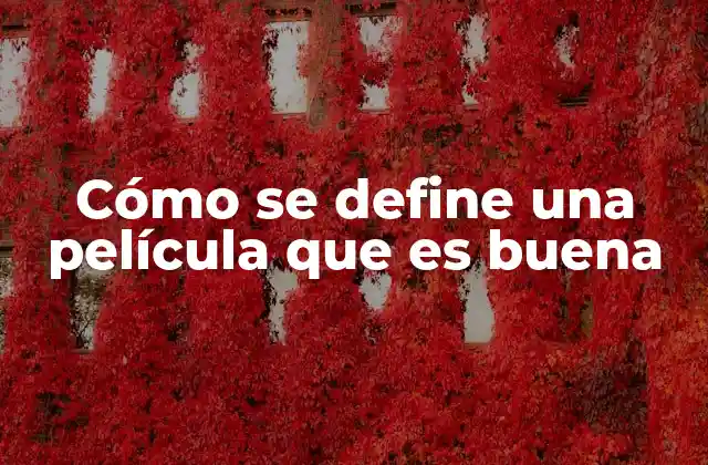 Cómo Se Define una Película que es Buena
