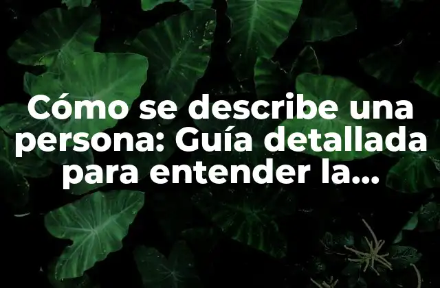 Cómo Se Describe una Persona: Guía Detallada para Entender la Personalidad