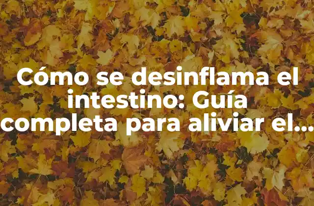 Cómo Se Desinflama el Intestino: Guía Completa para Aliviar el Dolor y la Incomodidad