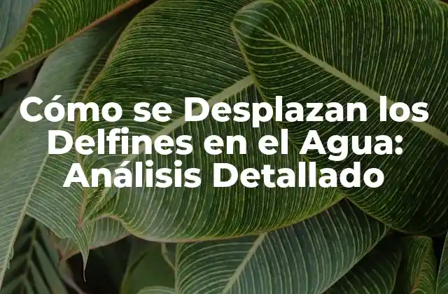Cómo Se Desplazan los Delfines en el Agua: Análisis Detallado