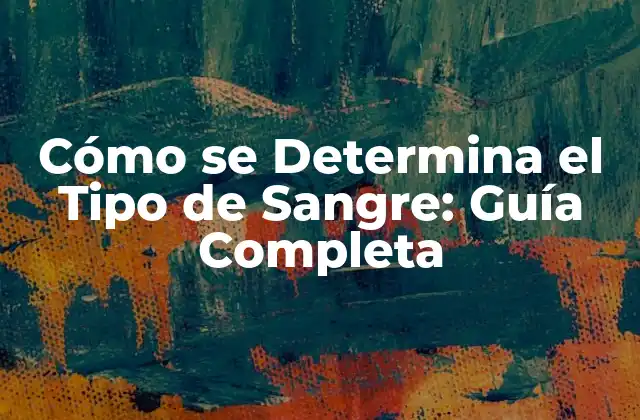 Cómo Se Determina el Tipo de Sangre: Guía Completa