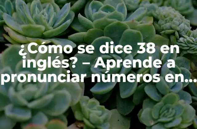 ¿cómo Se Dice 38 en Inglés? – Aprende a Pronunciar Números en Inglés
