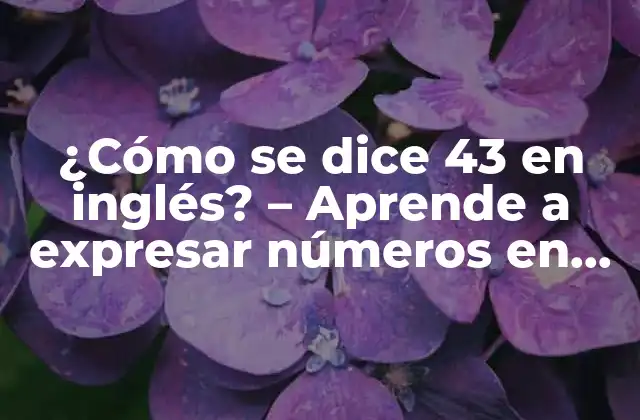 ¿cómo Se Dice 43 en Inglés? – Aprende a Expresar Números en Inglés con Facilidad