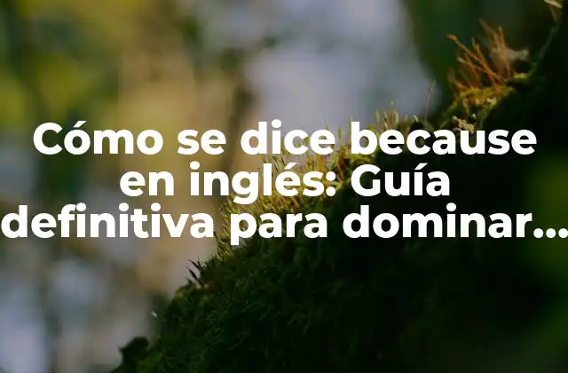 Cómo Se Dice Because en Inglés: Guía Definitiva para Dominar la Expresión