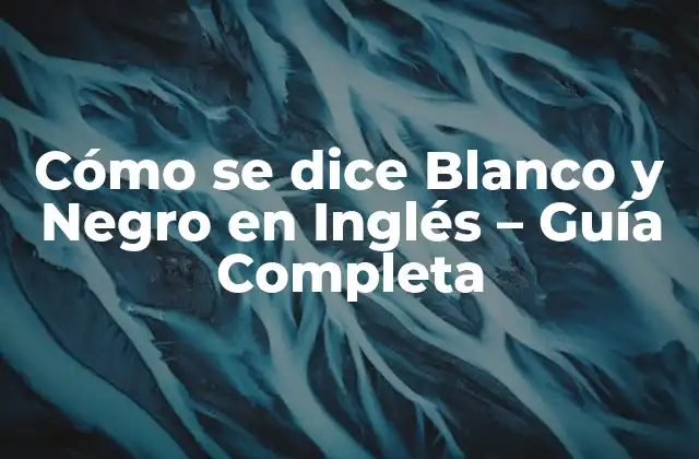 Cómo Se Dice Blanco y Negro en Inglés – Guía Completa