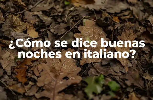 ¿cómo Se Dice Buenas Noches en Italiano?