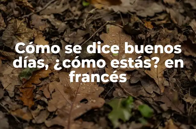 Cómo Se Dice Buenos Días, ¿cómo Estás? en Francés