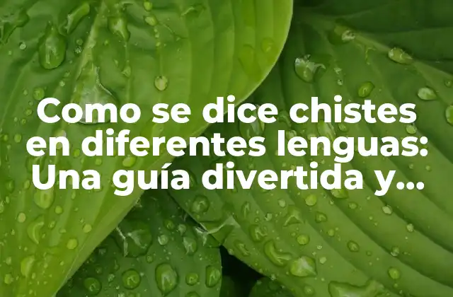 Como Se Dice Chistes en Diferentes Lenguas: una Guía Divertida y Práctica