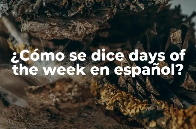¿cómo Se Dice Days Of The Week en Español?