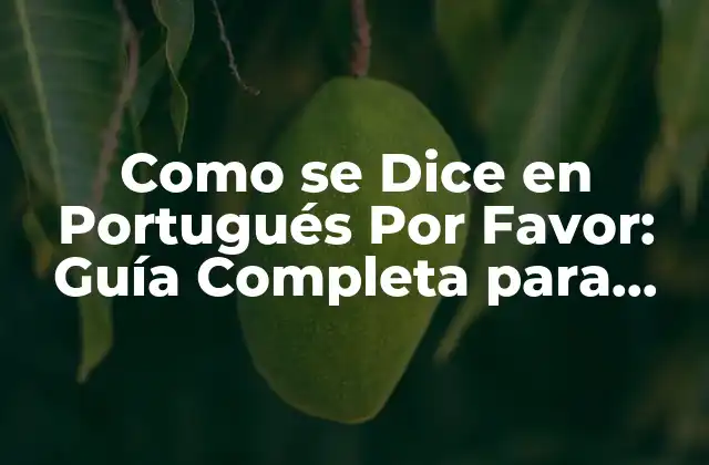 Como Se Dice en Portugués por Favor: Guía Completa para Aprender el Idioma Portugués