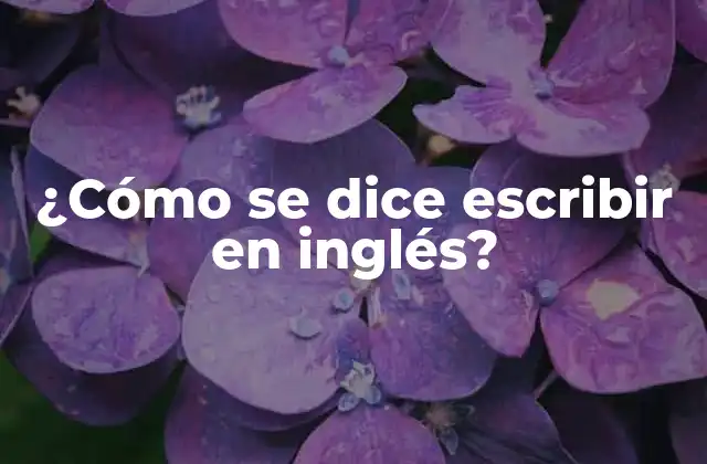 Verbos que significan escribir en inglés