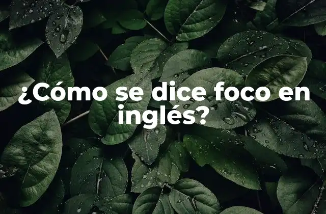 ¿cómo Se Dice Foco en Inglés?