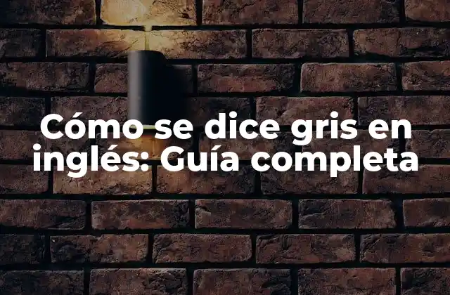 Cómo Se Dice Gris en Inglés: Guía Completa