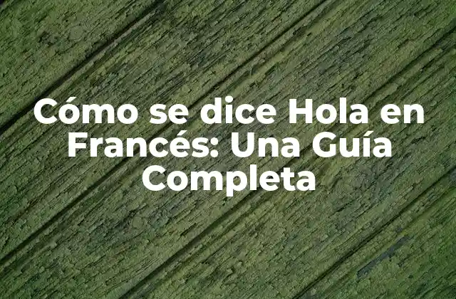 Cómo Se Dice Hola en Francés: una Guía Completa