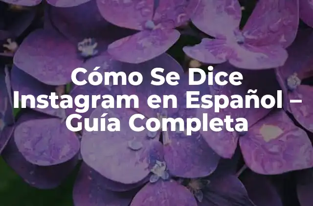 ¿Cuál es el Nombre Oficial de Instagram en Español?