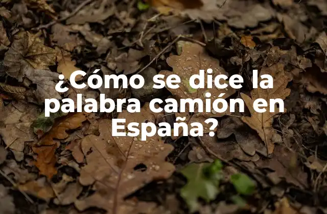 ¿cómo Se Dice la Palabra Camión en España?