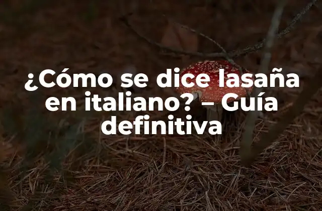 ¿cómo Se Dice Lasaña en Italiano? – Guía Definitiva