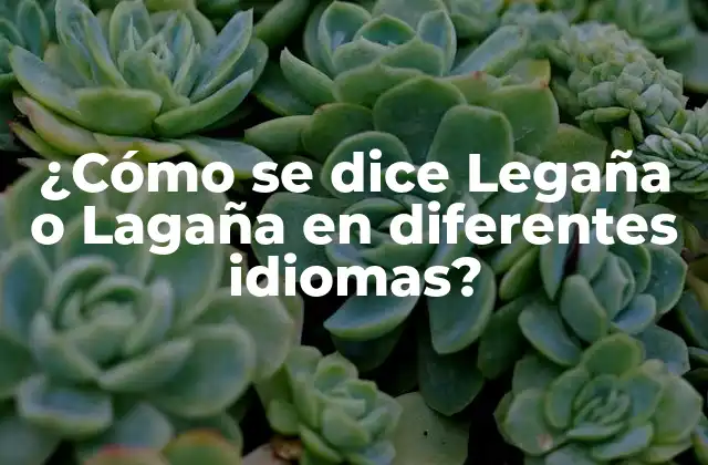 ¿cómo Se Dice Legaña o Lagaña en Diferentes Idiomas?