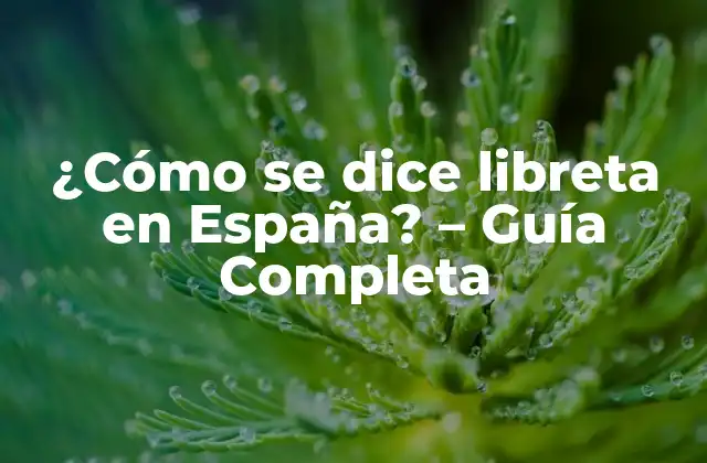 ¿cómo Se Dice Libreta en España? – Guía Completa