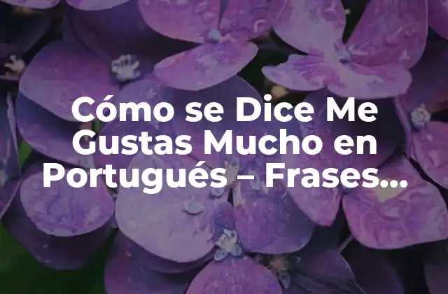 Cómo Se Dice Me Gustas Mucho en Portugués – Frases Románticas