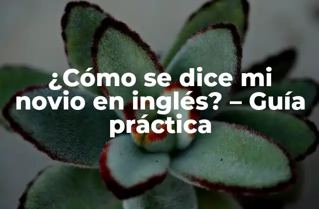 ¿cómo Se Dice Mi Novio en Inglés? – Guía Práctica