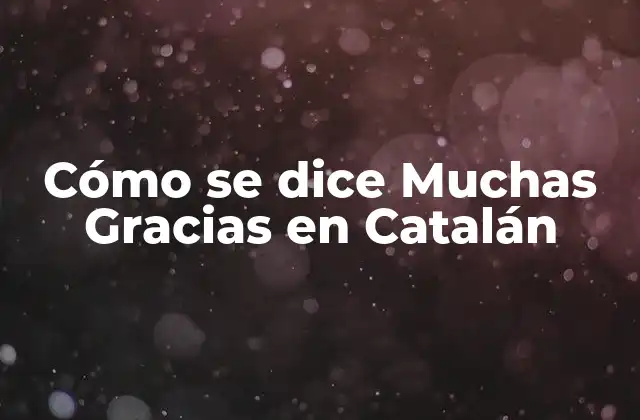 Cómo Se Dice Muchas Gracias en Catalán