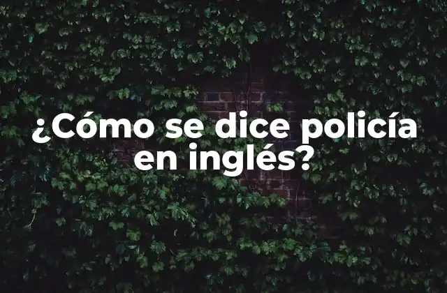 ¿cómo Se Dice Policía en Inglés?