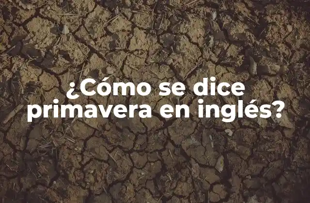 ¿cómo Se Dice Primavera en Inglés?