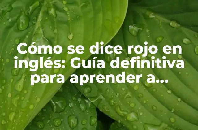 Cómo Se Dice Rojo en Inglés: Guía Definitiva para Aprender a Expresar el Color Rojo en Inglés