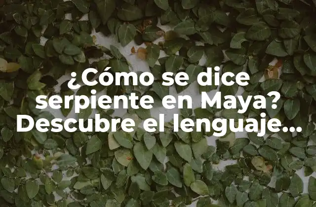 ¿cómo Se Dice Serpiente en Maya? Descubre el Lenguaje de los Antiguos Mayas