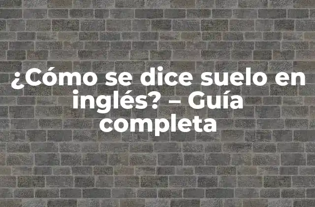 ¿cómo Se Dice Suelo en Inglés? – Guía Completa