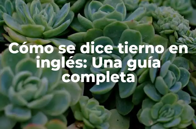 Cómo Se Dice Tierno en Inglés: una Guía Completa