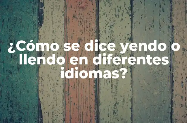 ¿cómo Se Dice Yendo o Llendo en Diferentes Idiomas? 2 La pronunciación de yendo o llendo en español