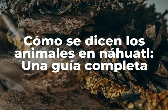 Cómo Se Dicen los Animales en Náhuatl: una Guía Completa