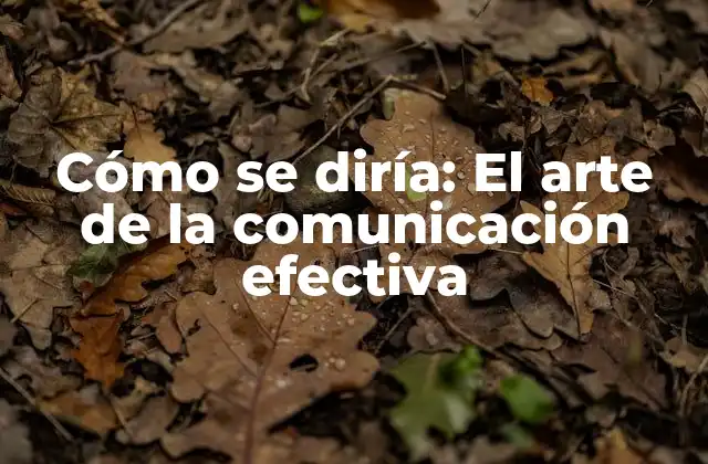 Cómo Se Diría: el Arte de la Comunicación Efectiva